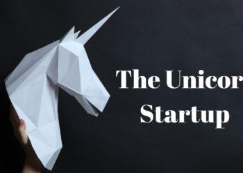 The Unicorn Startup