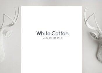 White Cotton