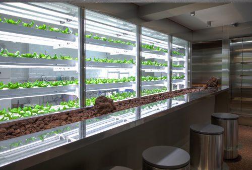 N.Thing's vertical farm - CUBE. 