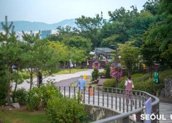 Dream Forest, the third largest park in Seoul. Photo: @Seoul_gov