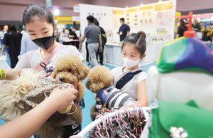 Visitors at the 2021 Seoul Pet Show held at SETEC in Gangnam-gu, Seoul on September 5th. The domestic pet market exceeded 3 trillion won as of last year. [Photo: Yonhap News]