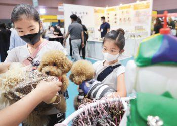 Visitors at the 2021 Seoul Pet Show held at SETEC in Gangnam-gu, Seoul on September 5th. The domestic pet market exceeded 3 trillion won as of last year. [Photo: Yonhap News]