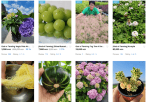 Plant Hugs online store interface.