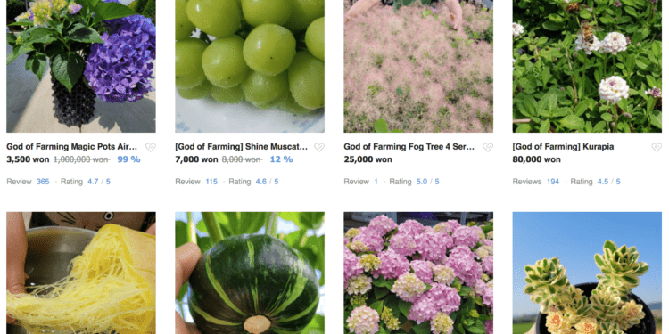 Plant Hugs online store interface.