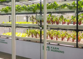 Green Labs offers smart farming solutions.