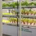 Green Labs offers smart farming solutions.