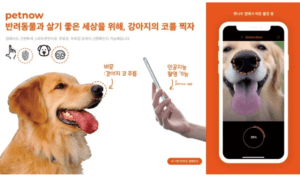 Petnow App