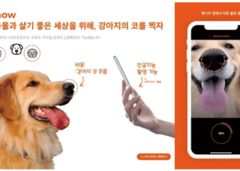Petnow App