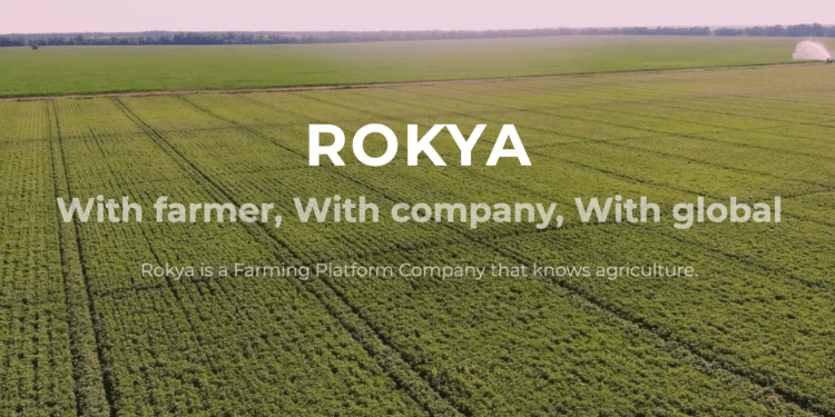 ROKYA