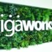 IGA works