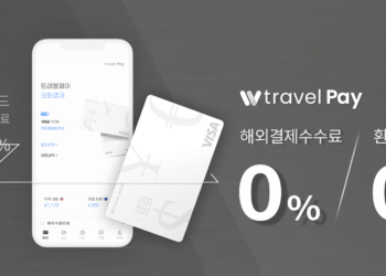 Travel Wallet