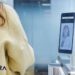 Alchera will provide its facial recognition AI solution to the Incheon International Airport's 'Smart Pass System