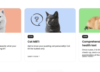 CAMI Labs