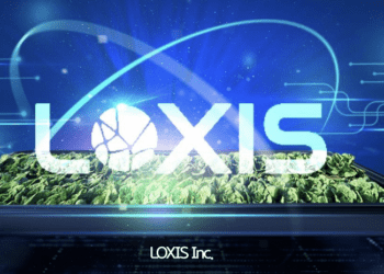 Loxis