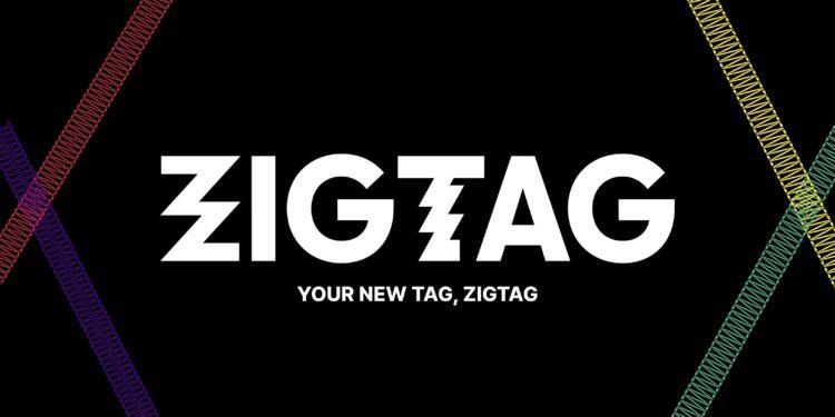 zig tag