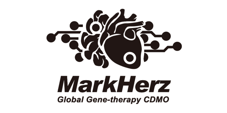 Markherz Secures Patent for Advanced AAV Vector Technology Targeting Cerebrovascular Conditions
