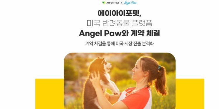 AiForPet