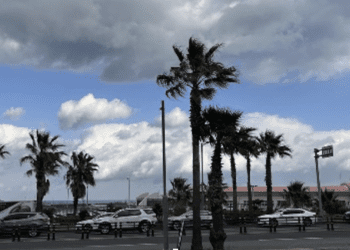 jeju island