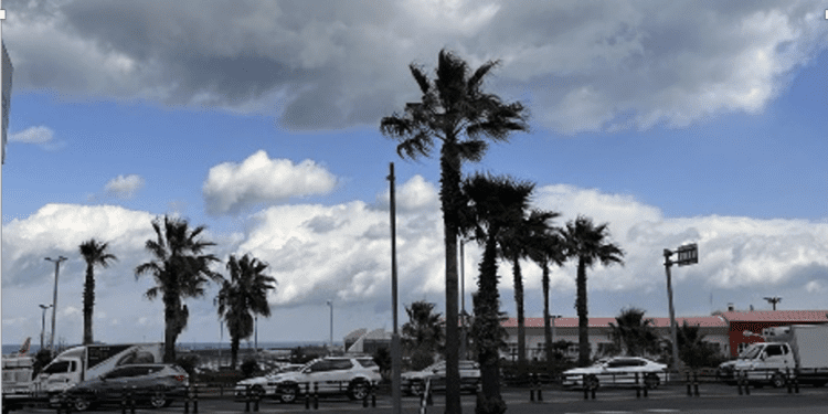 jeju island