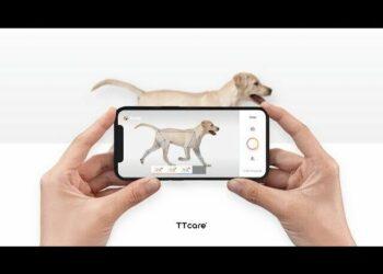 AIforPet