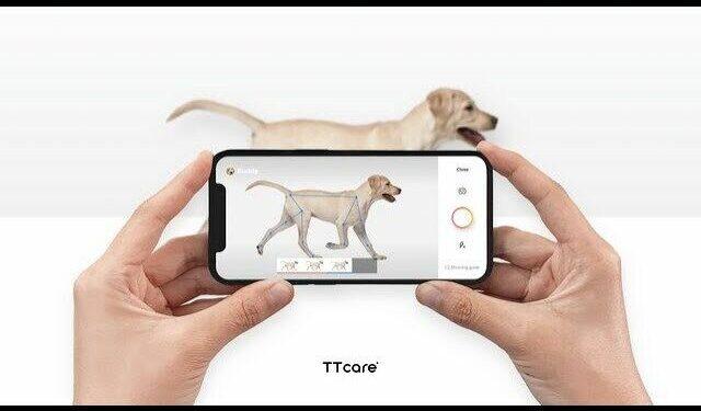 AIforPet