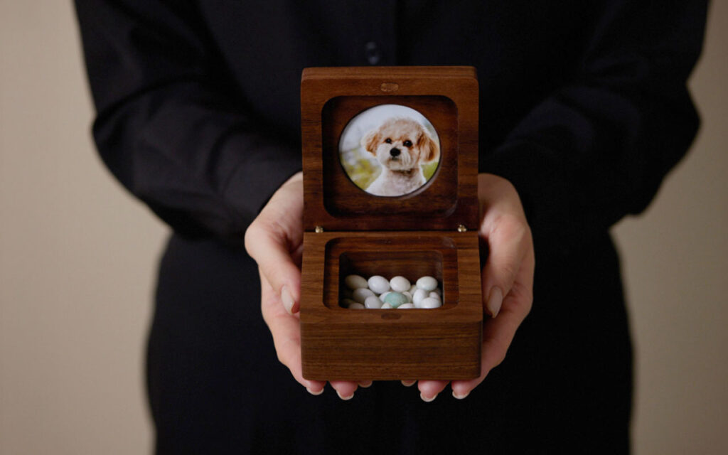 Coway Life Partners with Petdoc to Integrate Pet Funeral Services into Korea’s Expanding CareTech Sector